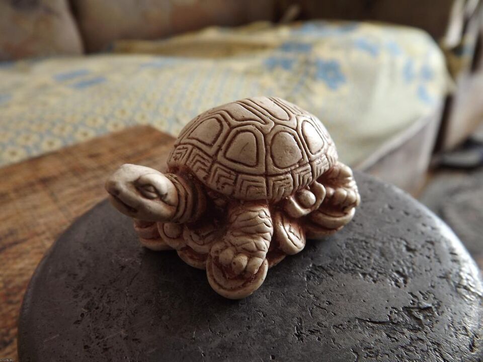 figura de tartaruga como amuleto de boa sorte